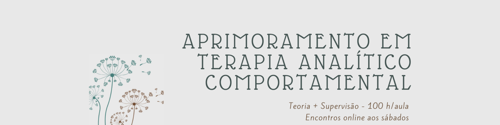 Curso de Aprimoramento em Terapia Analítico-Comportamental