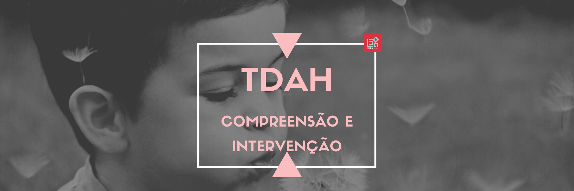 TDAH: Transtorno de Déficit de Atenção e Hiperatividade (LUPA)
