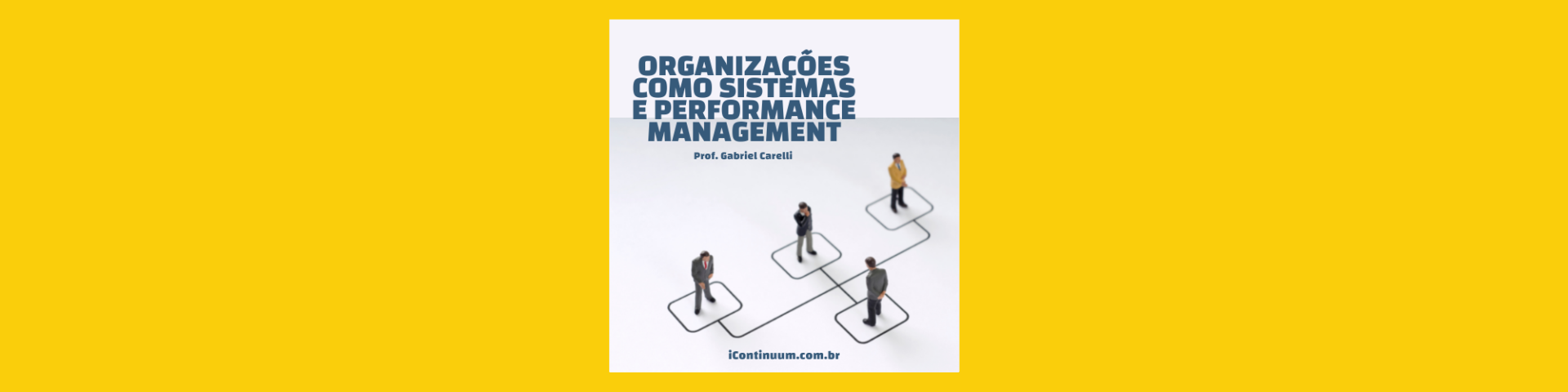 Organizações como Sistemas e Performance Management