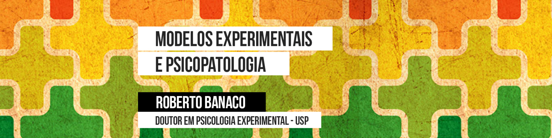 Modelos Experimentais em Psicopatologia